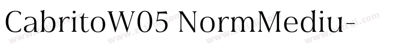 CabritoW05 NormMediu字体转换